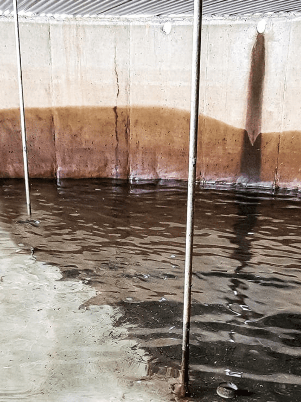 Leigh entering water tank